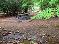 Hungry Mother State Park Picnic Area (15208713175).jpg