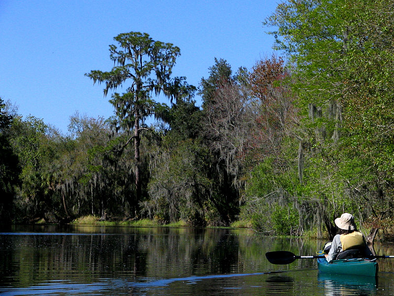 File:Hurrah Lake - Alafia River State Park.jpg