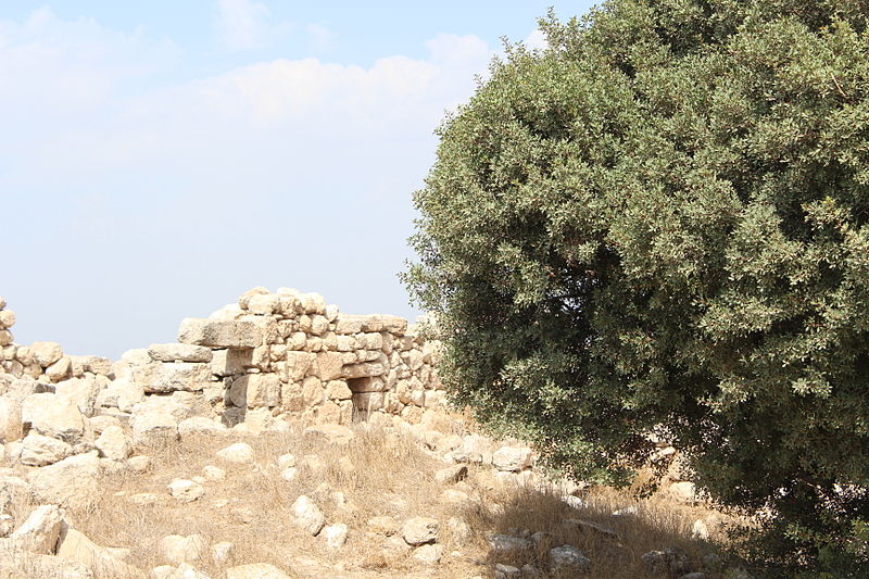 File:Hurvat Burgin IMG 2343.JPG