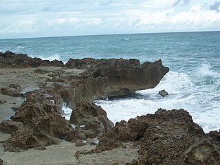 <span class="mw-page-title-main">Anastasia Formation</span> Geologic formation deposited in Florida during the Late Pleistocene epoch.