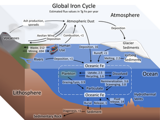 Iron cycle