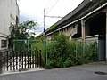 野田駅 - 大阪市場駅貨物支線跡。野田駅西側にある、高架線へのアプローチ部分跡。現在は雑草などは刈り取られアスファルトで固められている。