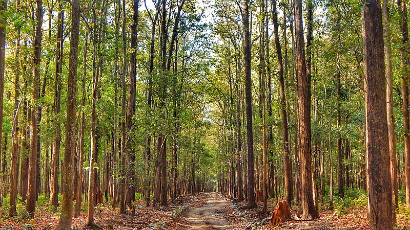 File:Jim Corbett Park.jpg