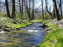 2007 : Berge du cours d'eau forestier de Kacza (pl) (Pologne).
