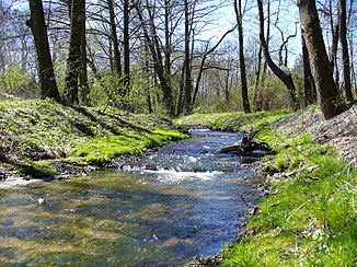 The Kacza in the upper reaches