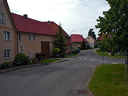 Kaltohmfeld - In den Birken - panoramio (1)