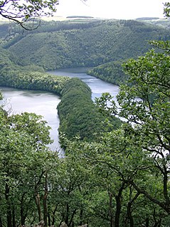 <span class="mw-page-title-main">Eifel National Park</span> National Park in North Rhine-Westphalia, Germany