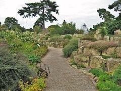Kew Rock garden, Kew Gardens, London.