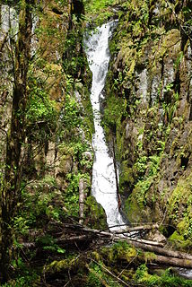 Ki-a-Kuts Falls waterfall in Washington County, Oregon