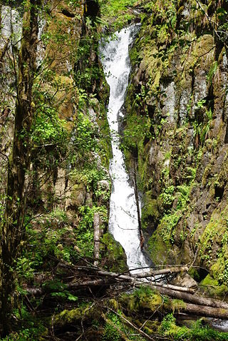 <span class="mw-page-title-main">Ki-a-Kuts Falls</span> Waterfall in Oregon, United States