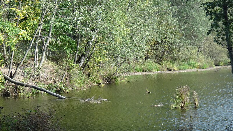 File:Krasnogorsky District, Moscow Oblast, Russia - panoramio (85).jpg