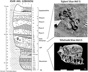 Recent African Origin Of Modern Humans