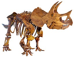 Qual é a abrangência do termo dinossauro? Quantos tipos havia à