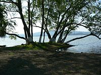 Laguna Catemaco