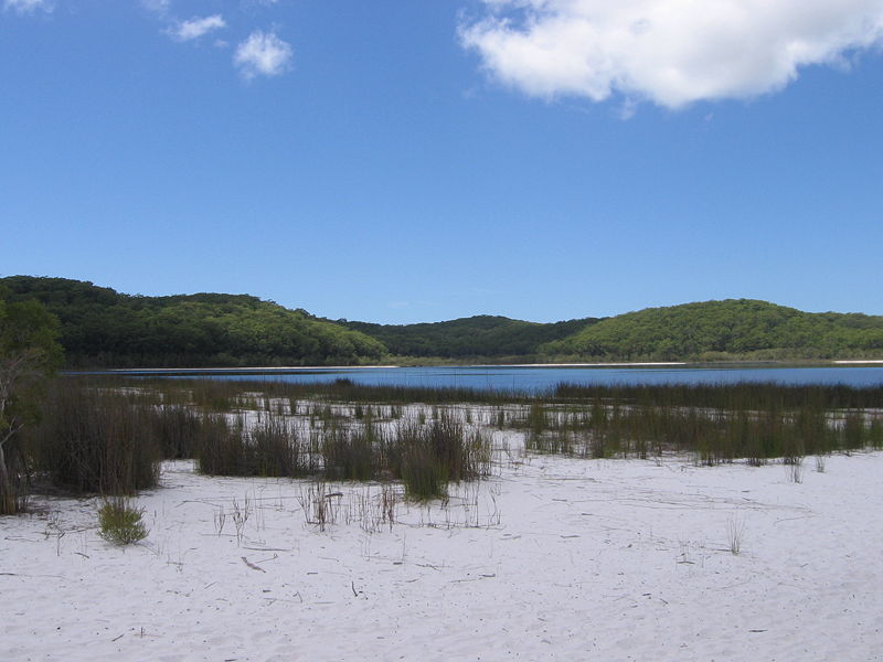 File:Lake mckenzie beach.jpg