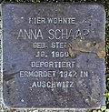Anna Schaap