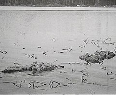 Убийства на езерото Лава