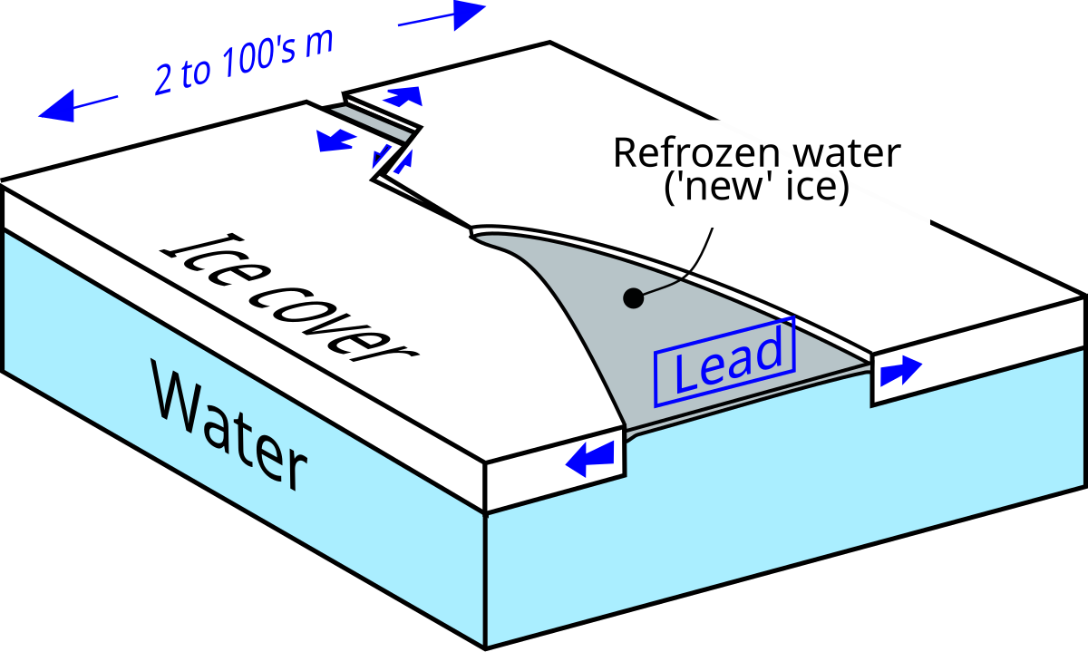 Lead (sea ice)