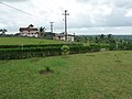 Liberia, West Africa - panoramio (21).jpg