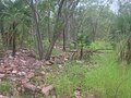 Litchfield National Park