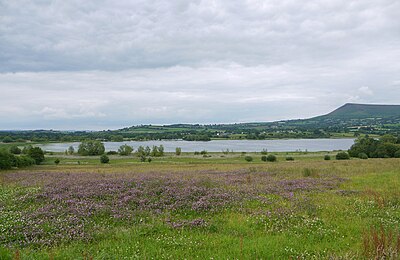 Llangorse Lake