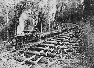 Locomotive pulling railroad cars with logs over a crib trestle (3227290798).jpg