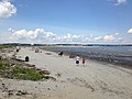 Thumbnail for Nahant Beach Reservation