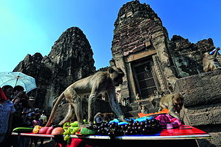 <span class="mw-page-title-main">Monkey Buffet Festival</span> Festival held annually in Lopburi, Thailand