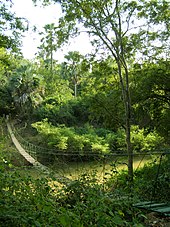 Niokolo-Koba National Park