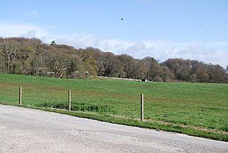 <span class="mw-page-title-main">Lulworth Estate</span>