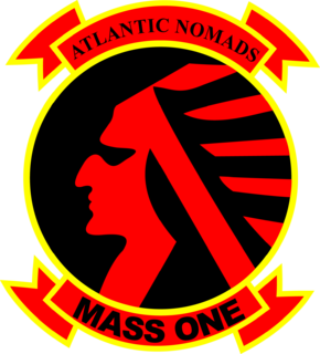 <span class="mw-page-title-main">Marine Air Support Squadron 1</span> Military unit