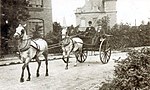 Paardenkoets op het rond-point, ca. 1900