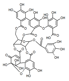 Mallotusinic acid Chemical compound