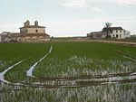 Parc Natural de l'Albufera de València