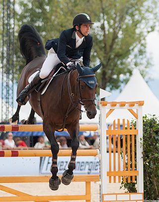 <span class="mw-page-title-main">Marlon Zanotelli</span> Brazilian equestrian