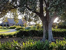 Mckay gardens sunset view with church in background.jpg