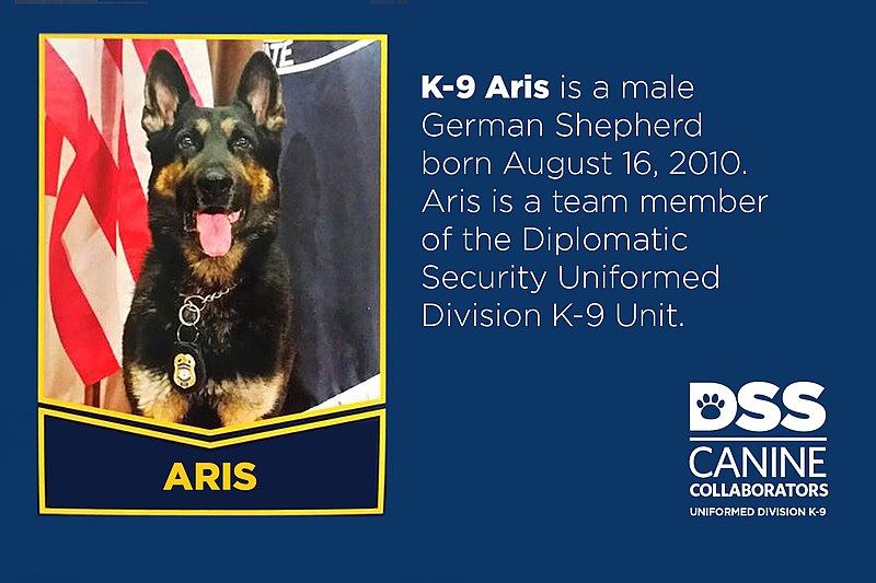 File:Meet K-9 Aris (35940858720).jpg