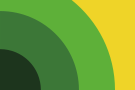 Mental Health Flag [8]