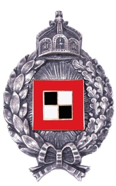 badge for observation officers from airplanes 1914
