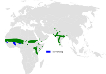 Mirafra cantillans Distribution map.png