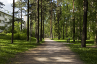 Typical footpath under verdant green trees in Munkkivuori