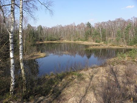 Naturschutzgebiet Ostufer Steinhuder Meer