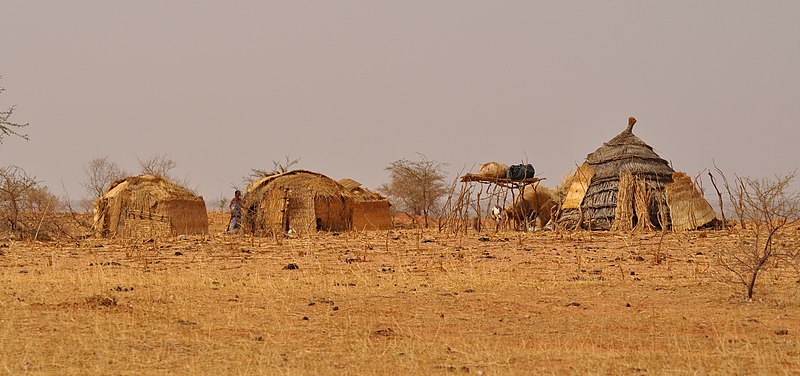 File:Niger, camp near Kobéri Kouara (1).jpg