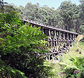 Noojee timber trestle bridge, near Noojee, Victoria, Australia (1919/1939)