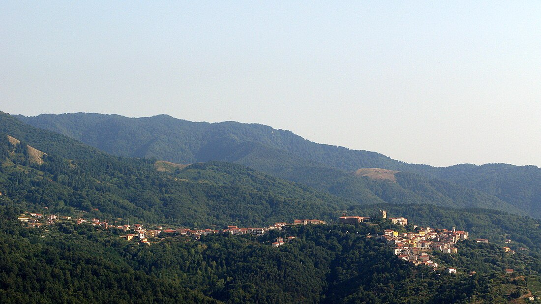 Novi Velia