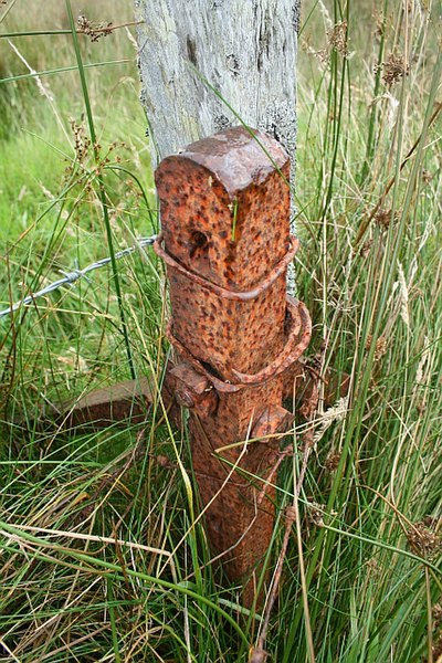 File:Old Fence Post. - geograph.org.uk - 558631.jpg