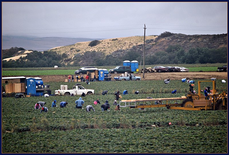 File:One in a series of photos taken from the Northbound Pacific Surfliner train in and around Guadalupe California July 2011 Mostly showing the agricultural activity and local views - panoramio.jpg