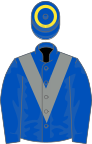Royal blue with grey chevron, royal blue sleeves, royal blue cap, yellow hoop