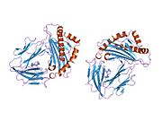 PDB 1hhk EBI.jpg