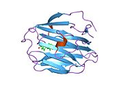 PDB 1kdk EBI.jpg